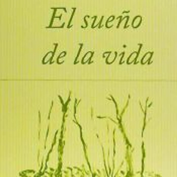 El sueño de la vida 1