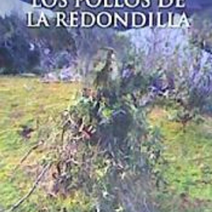 LOS POLLOS DE LA REDONDILLA 1