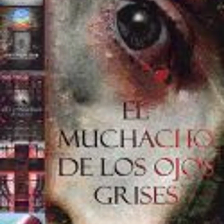 El Muchacho de Los Ojos Grises 1