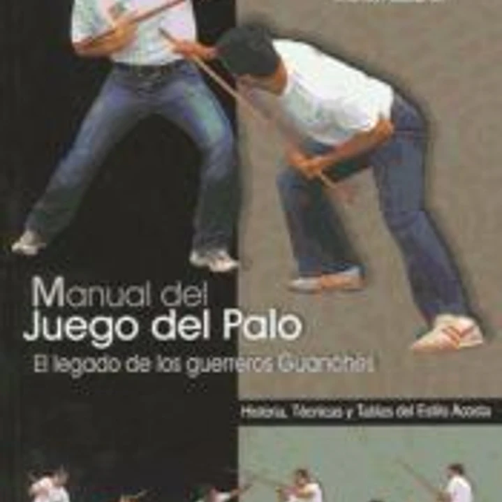 Manual del juego del palo 1