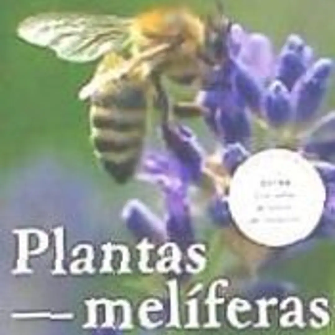 PLANTAS MELIFERAS 1