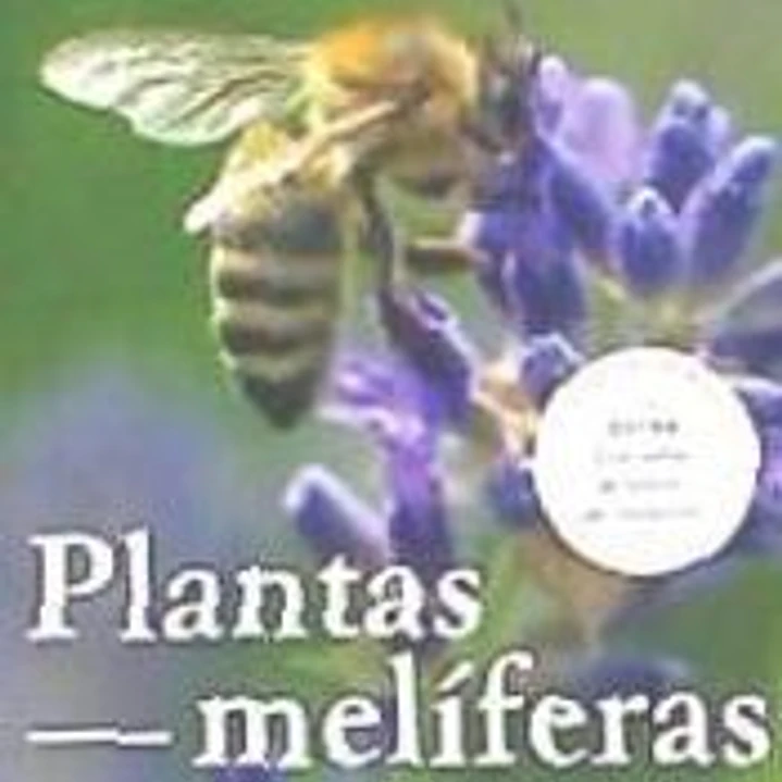 PLANTAS MELIFERAS 1