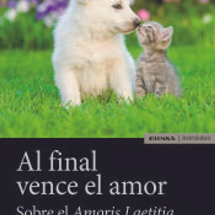 AL FINAL VENCE EL AMOR 1