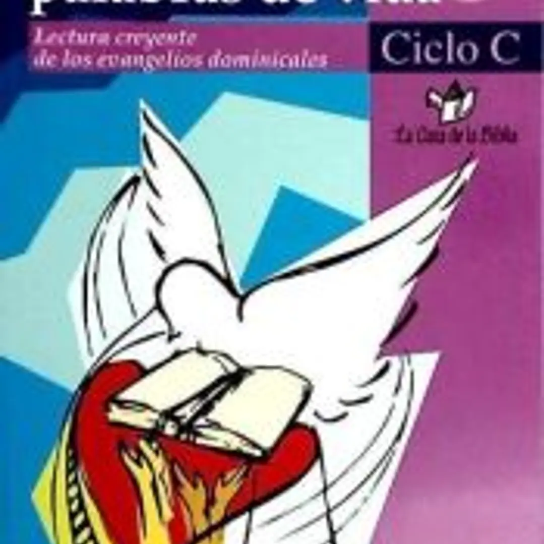 Tú tienes palabras de vida, ciclo C : lectura creyente de los evangelios dominicales 1