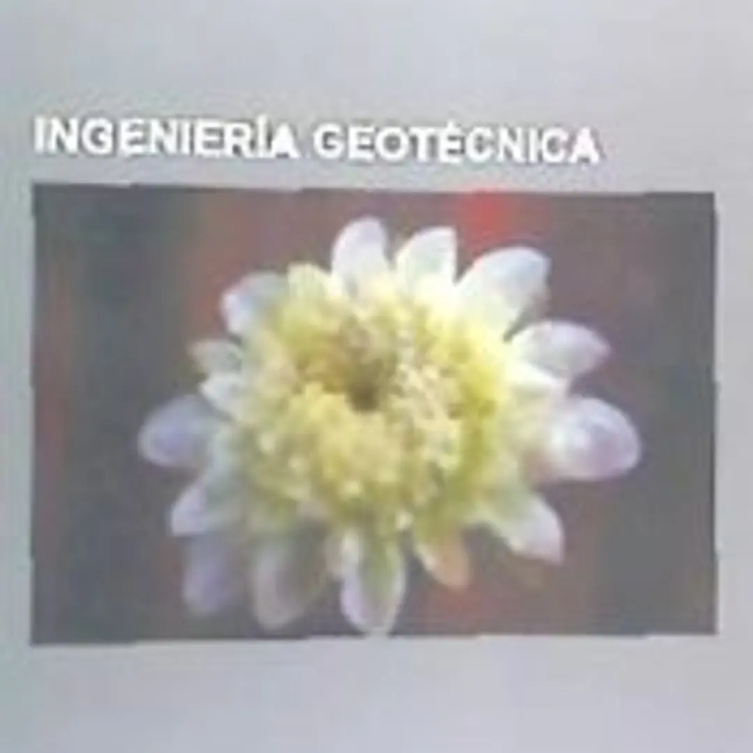 Ingenieria Geotecnica: Clasificacion de Suelos, Plasticidad, Ensayos de Integridad En Cimentaciones, Ensayo No Destructivo, Capacidad Portant 1