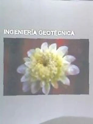 Ingenieria Geotecnica: Clasificacion de Suelos, Plasticidad, Ensayos de Integridad En Cimentaciones, Ensayo No Destructivo, Capacidad Portant