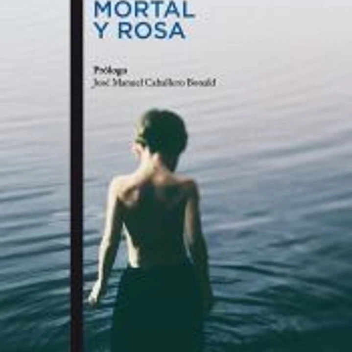 Mortal y rosa 1