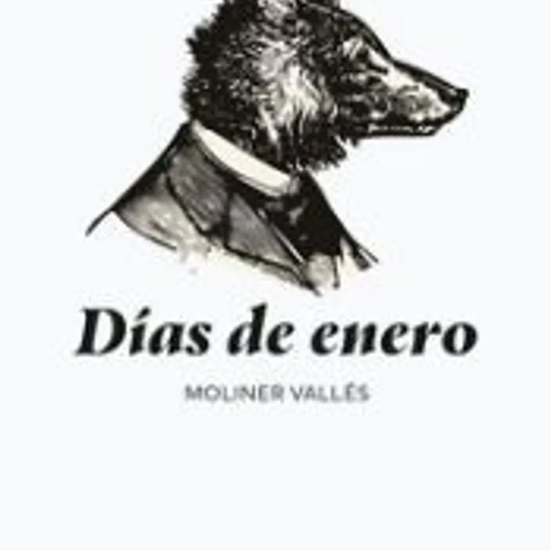 Días de enero 1