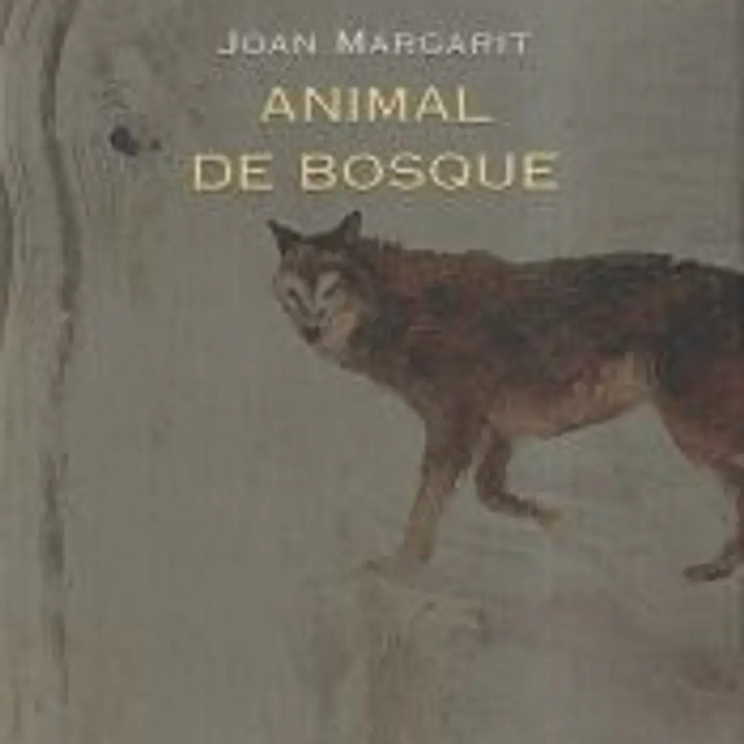 Animal de bosque 1