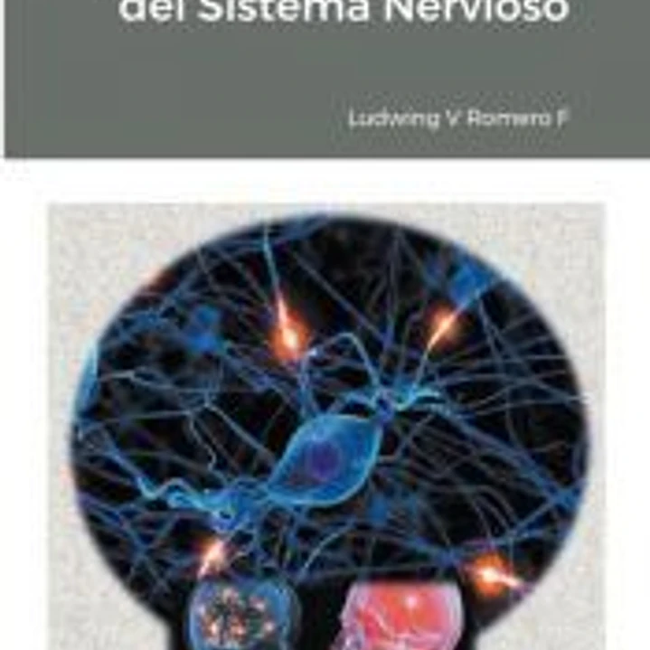 Anatomia y Fisiología del Sistema Nervioso II 1