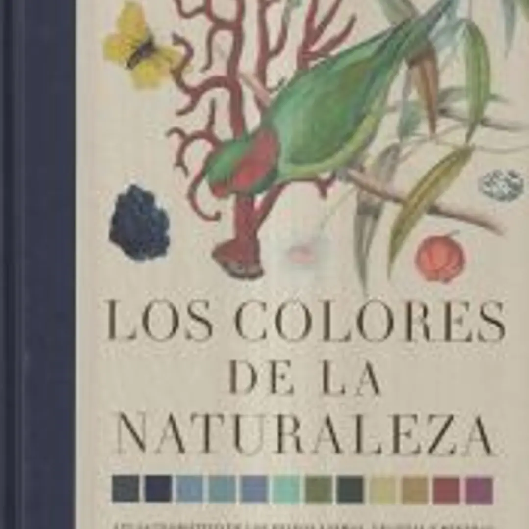 Los colores de la naturaleza 1