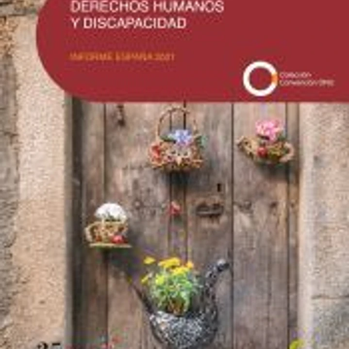 Derechos Humanos y Discapacidad: Informe España 2021 1