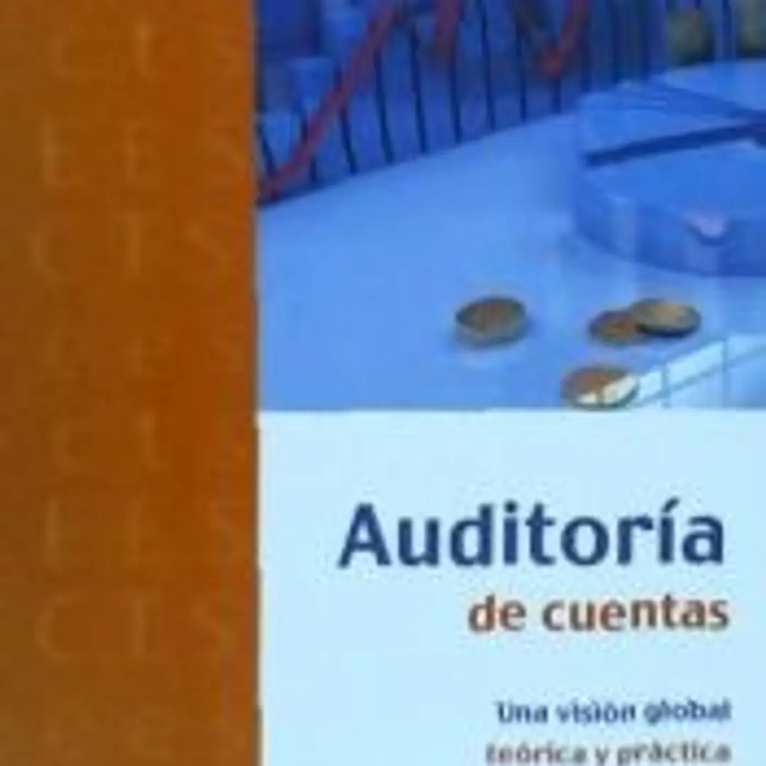 Auditoría de cuentas : una visión global teórica y práctica 1