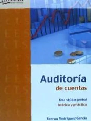 Auditoría de cuentas : una visión global teórica y práctica
