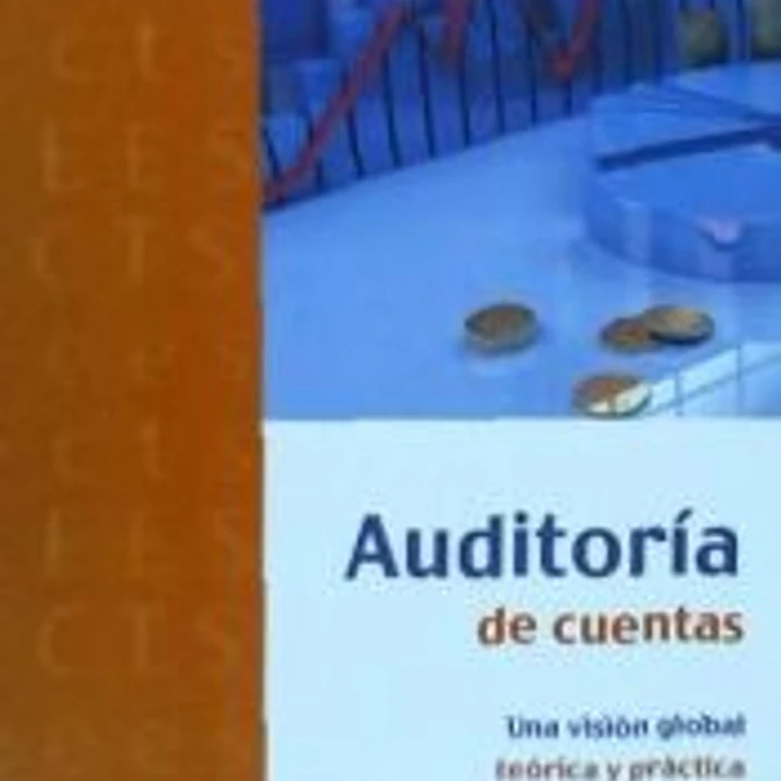 Auditoría de cuentas : una visión global teórica y práctica 1