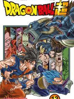 Dragon Ball Super nº 13