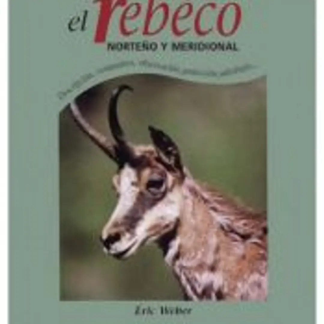 EL REBECO 1