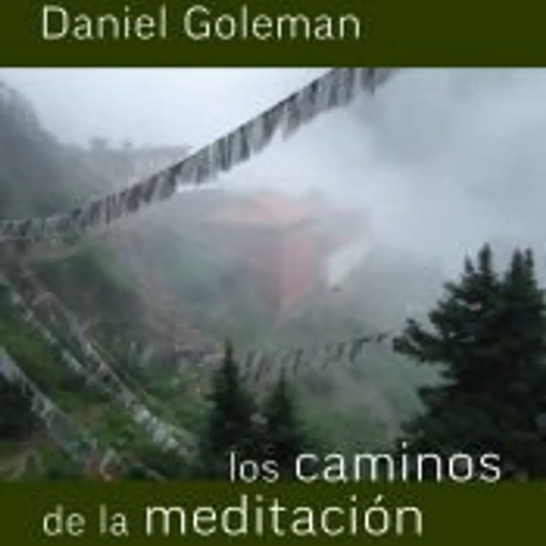 Los caminos de la meditación 1