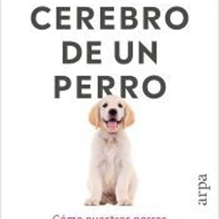 El cerebro de un perro 1