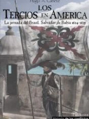 Los Tercios en América: La jornada de Brasil, Salvador de Bahía 1624-1625