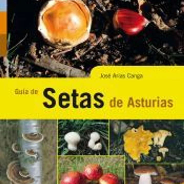 Guía de setas de Asturias 1