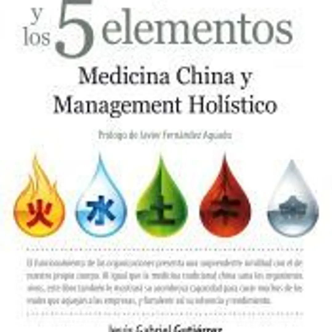 La empresa y los 5 elementos 1