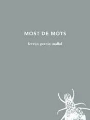 Most de mots