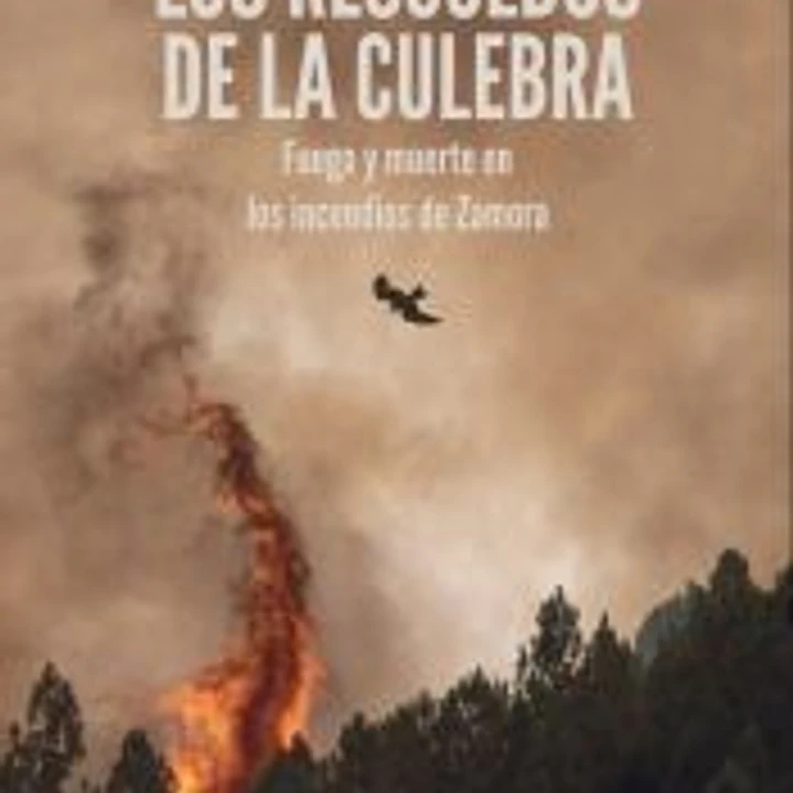 Los rescoldos de la Culebra: Fuego y muerte en los incendios de Zamora 1