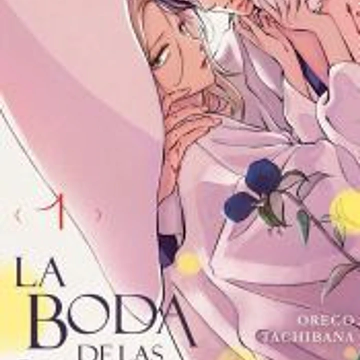 LA BODA DE LAS LUCIERNAGAS 1 1