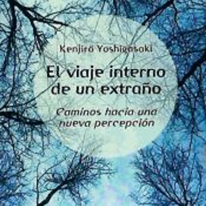 El viaje interno de un extraño 1