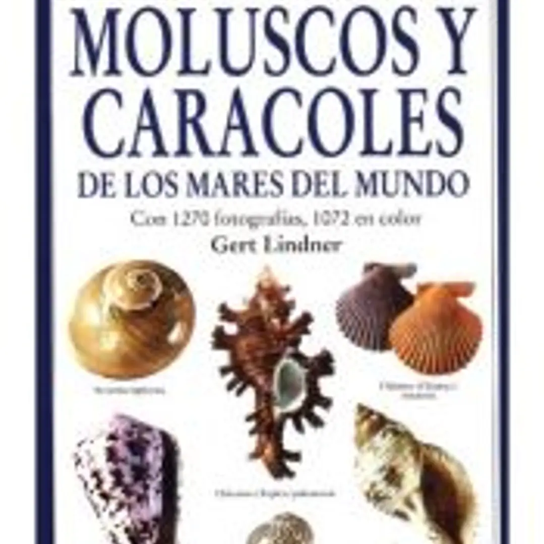 MOLUSCOS Y CARACOLES DE LOS MARES DEL MUNDO 1