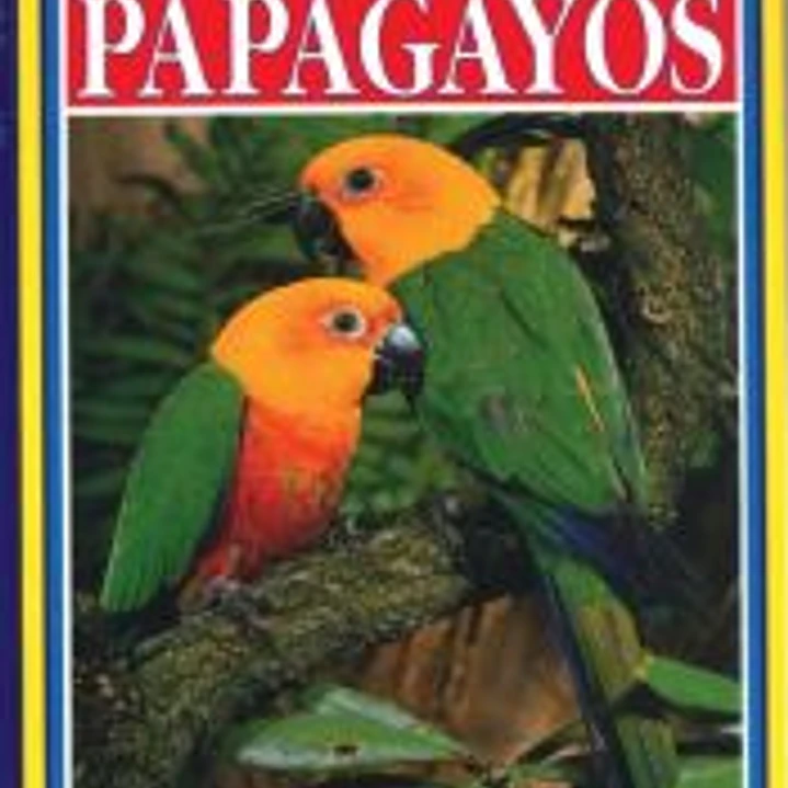 PAPAGAYOS 1