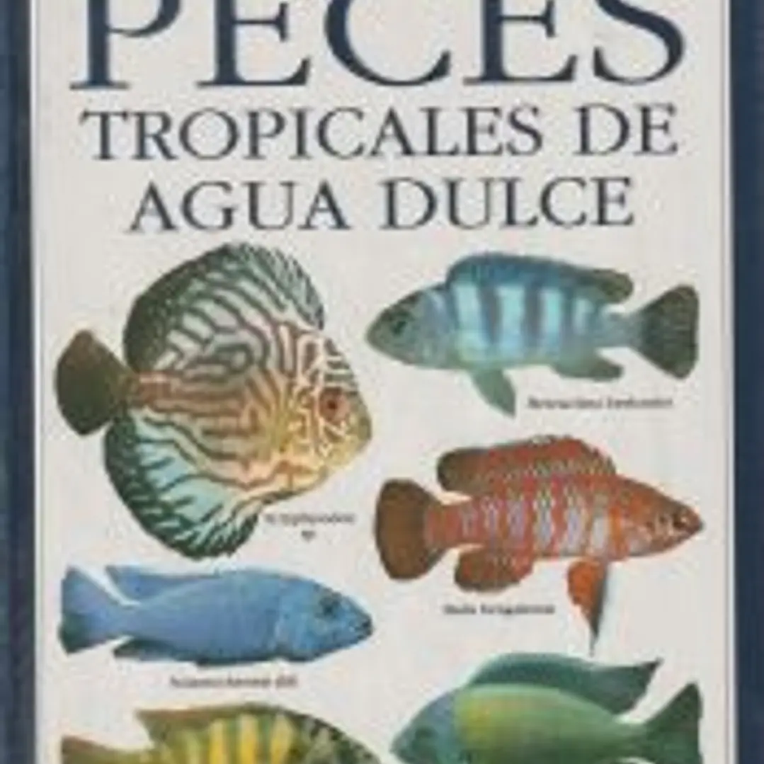 PECES TROPICALES DE AGUA DULCE 1