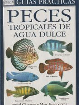 PECES TROPICALES DE AGUA DULCE