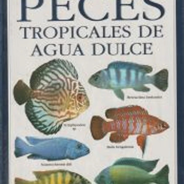 PECES TROPICALES DE AGUA DULCE 1