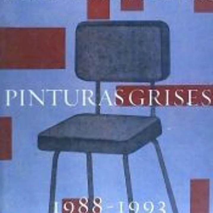 José María Báez : pinturas grises 1988-1993 1