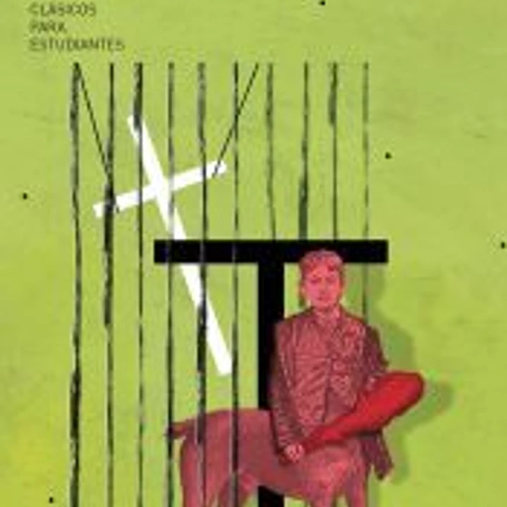 EL LAZARILLO DE TORMES (CLÁSICOS PARA ESTUDIANTES) 1