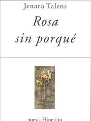 ROSA SIN PORQUÉ