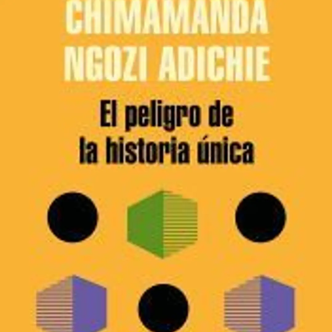 EL peligro de la historia única 1