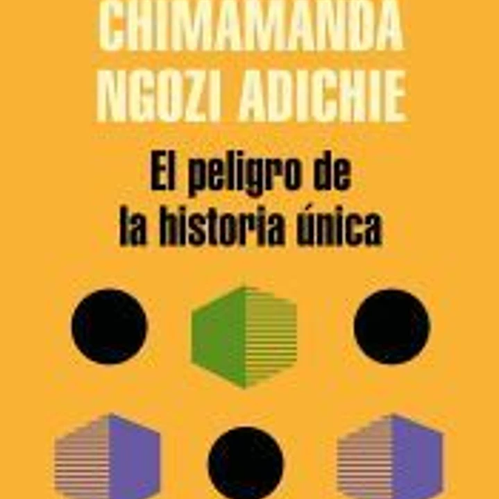 EL peligro de la historia única 1