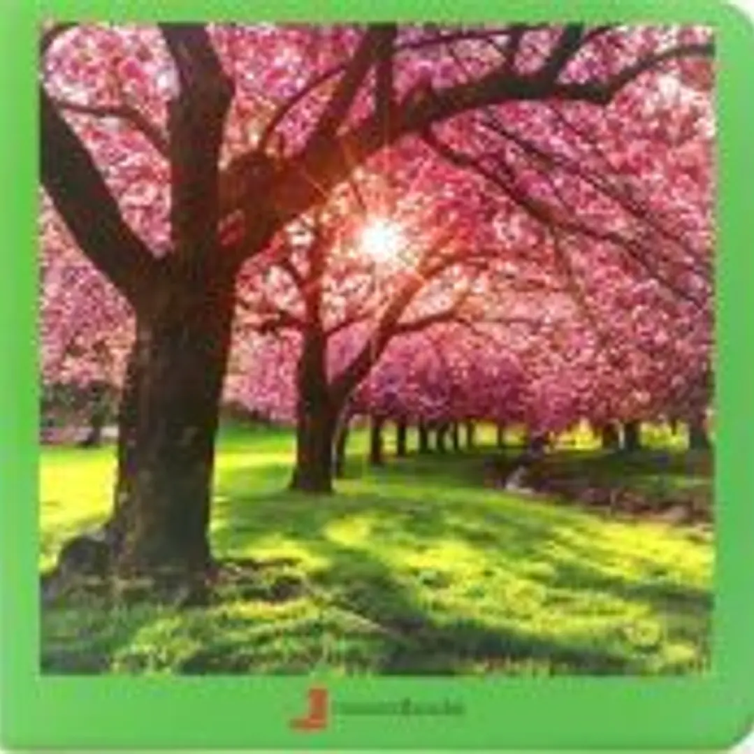 Primavera 1