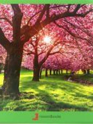 Primavera