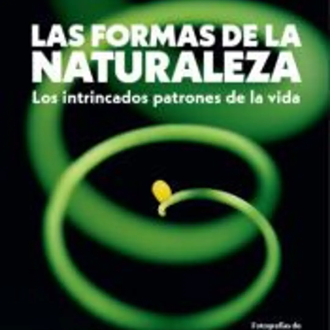 Formas de la naturaleza 1