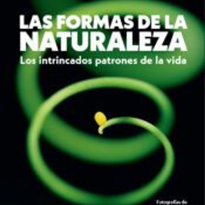 Formas de la naturaleza 1