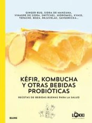 Kéfir, kombucha y otras bebidas probióticas