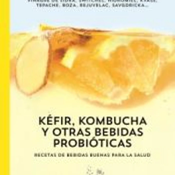 Kéfir, kombucha y otras bebidas probióticas 1