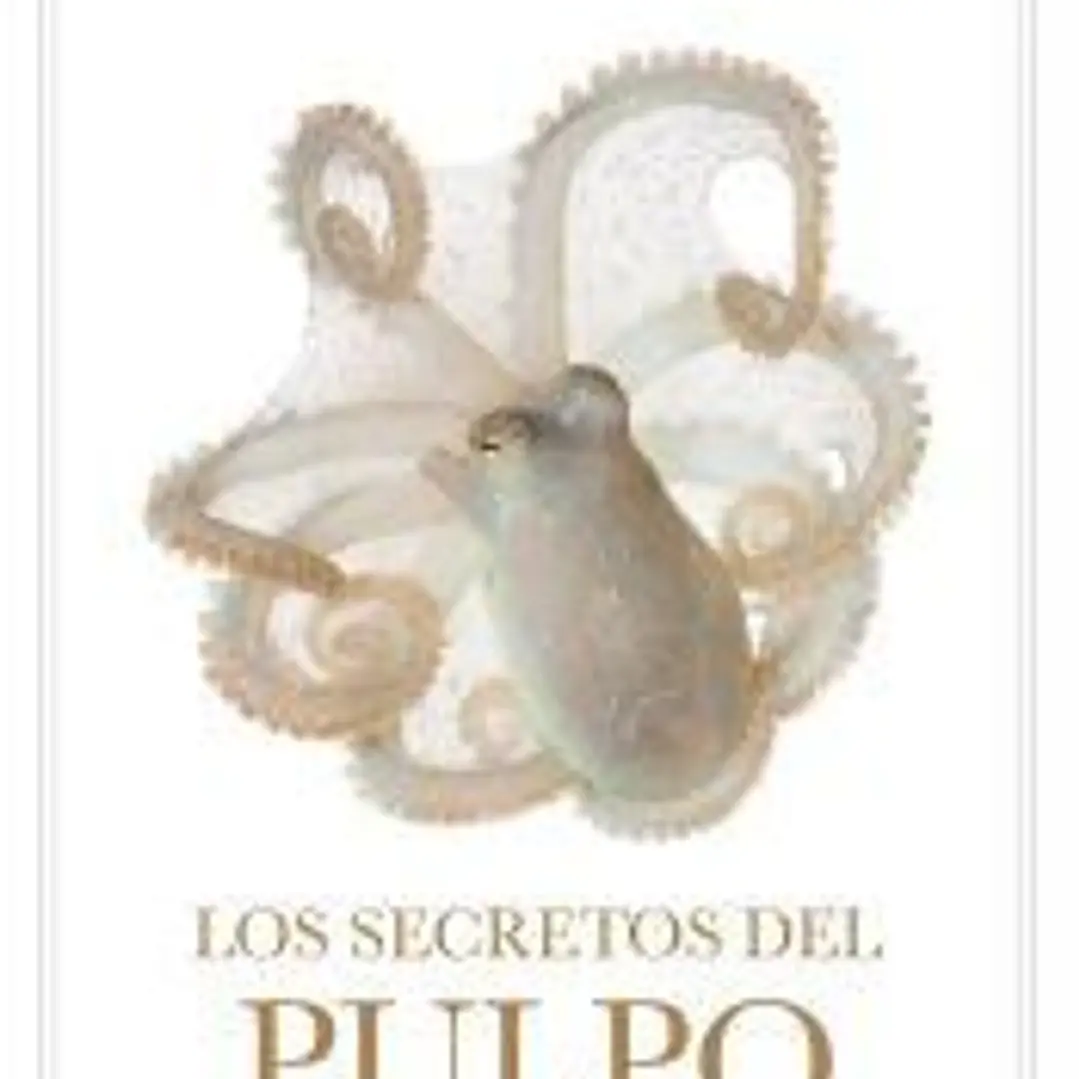 Los secretos del pulpo 1