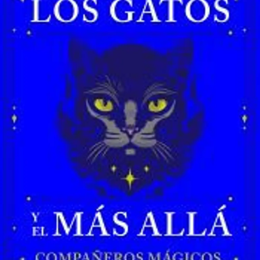Los gatos y el más allá 1