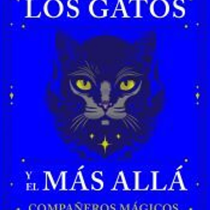 Los gatos y el más allá 1