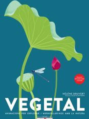Vegetal